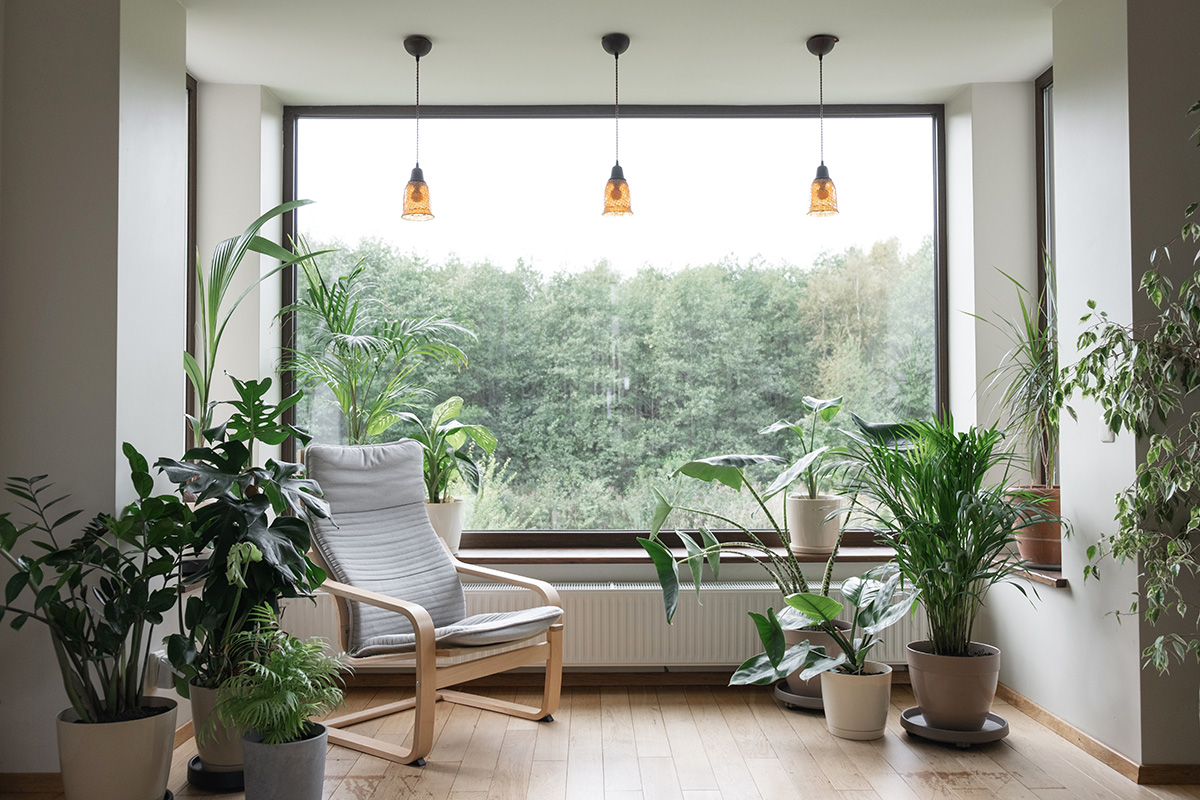 Biophilia home decor with nature and lighting
