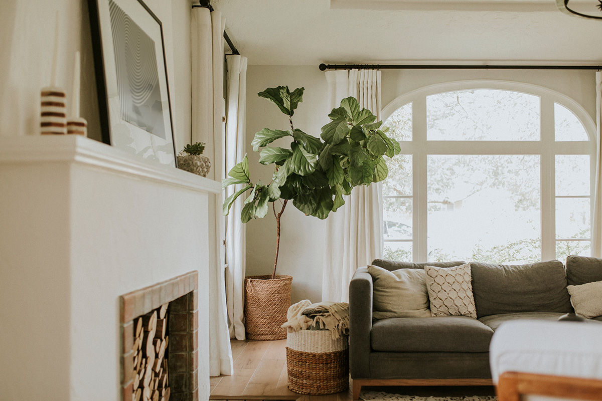 cozy home living room with green and white shades and sunshine coming through window