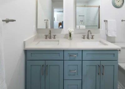 Whole House Remodel in Annandale, VA - Primary Bathroom