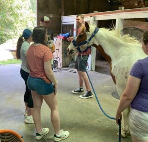 hhh leading horse