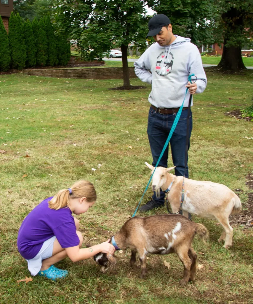 Heroes Hooves goats