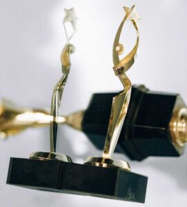 Central Virginia PRO Awards